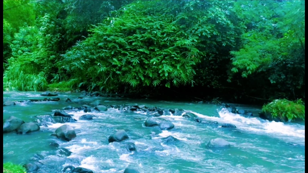 Soothing Water Flowing Ambience for Sleep and Deep Relaxation