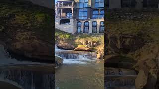 Take me down to the Reedy River #deltagoodrem #greenvillesc #river #waterfall