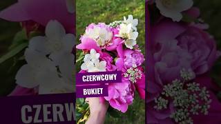Czerwcowy bukiet #piwonie #byliny #krzewy #jasminiowiec #ogrodnictwo