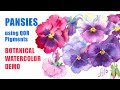 WATERCOLOR PANSIE FLOWERS 🌺 Painting Demo with QOR Watercolor Pigments