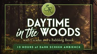 A Day in the Woods with Cicadas &amp; A Babbling Brook - Black Screen 10 Hours - Ambient Nature Sounds