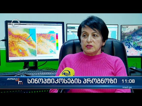 ქრონიკა 11:00 საათზე  - 11 იანვარი, 2023 წელი