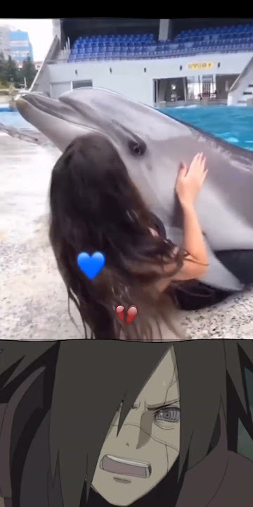 DOLPHIN GONE UNCONTROL💀 #bombastic