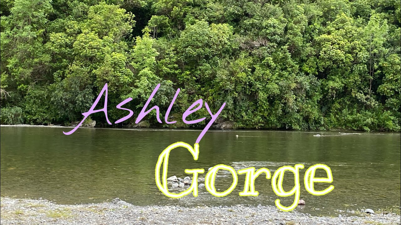 Ashley New Zealand YouTube