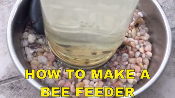 DIY How to make a Bee Feeder -Helping Honey Bees 🍯 🐝