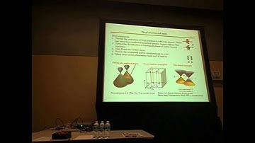 Discovery of the first Weyl fermion semimetal and topological Fermi arcs in TaAs (Part I)