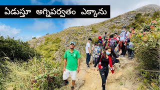 Santa Ana Volcano Hiking Tour | Types of volcano eruption