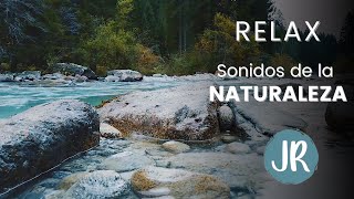 🧘‍♀ [Música para DORMIR] Relajate y ten paz 😴 7 horas de sonidos del RÍO y PÁJAROS cantando 🐦