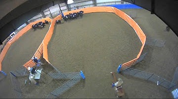 Big Sky Ranch Sorting Saddle Series #2 - Open H/C - Round #2 - Ride #10