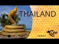 Thailand beewell