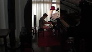 Johannes Brahms II.Adagio from Piano Concerto No.1 in D minor, Piano Solo Version