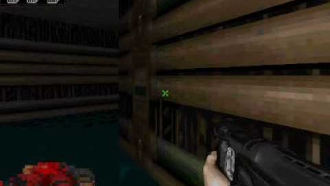 Doom 3 weapons wad with the link