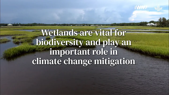 World Wetlands Day 2022  | IWMI - DayDayNews