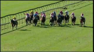 Vidéo de la course PMU PRIX IN FULL FLIGHT HANDICAP