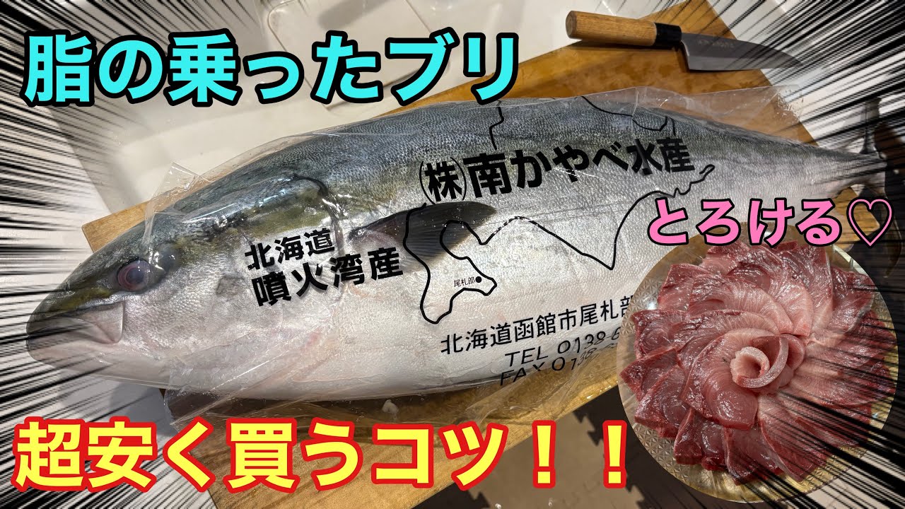 脂の乗った「ブリ」を超安く買うコツがある！知ってるとお得なブリの㊙︎情報☆(捌き方、食べ方)