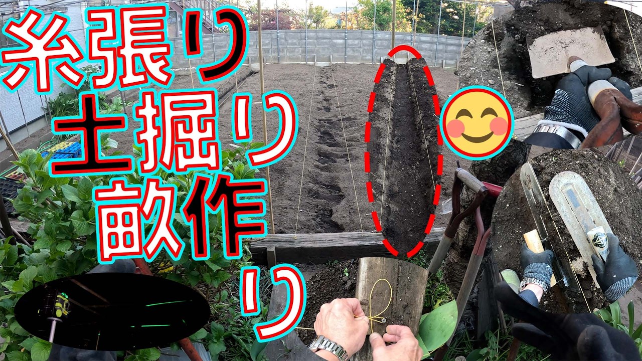 土寄せ畝作り👨‍🌾】天空ワイヤーシステム3列方式の畑は糸を張って