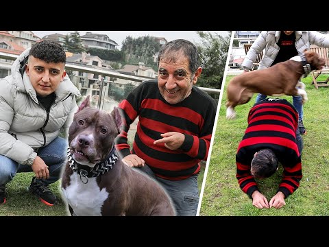 TÜRKİYE'NİN EN AKILLI KÖPEĞİ İLE BİR GÜN GEÇİRMEK !!