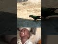 आज Mithu ने Papa की Band बजा दी 😂🦜 Funny Moment 🤣#parrot #youtubeshorts #funny