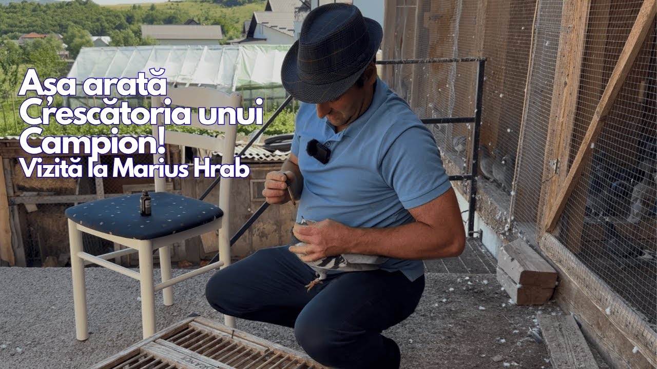 Așa arată Crescătoria unui Campion! Vizită la Marius Hrab din Jud. Suceava - Prezentare Pas cu Pas !