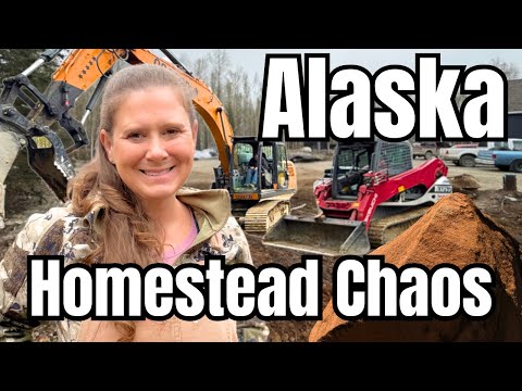 We Finally Set the Giant Woodshed... Then the Excavator Took Over #alaskahomestead thumbnail