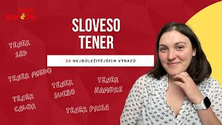 10 výrazů se slovesem TENER ve španělštině