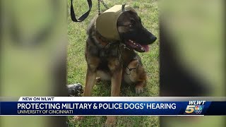 Cincinnati professor creates innovative hearing protection for military dogs