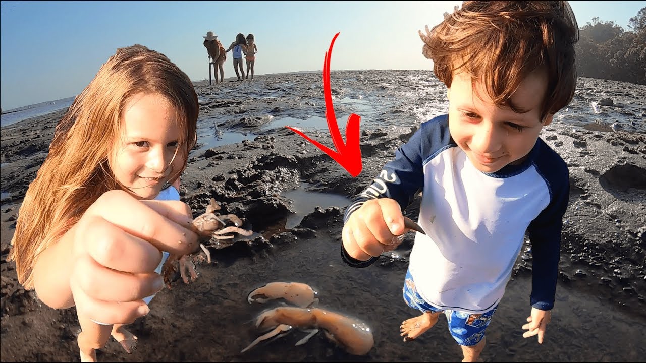 PUMPING YABBIES Fossil Find While Gathering Bait. YouTube