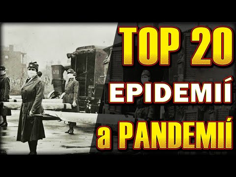 Video: Rozdíl Mezi Pandemií A Epidemií