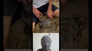 Download Lagu #memes #frends #shorts MP3