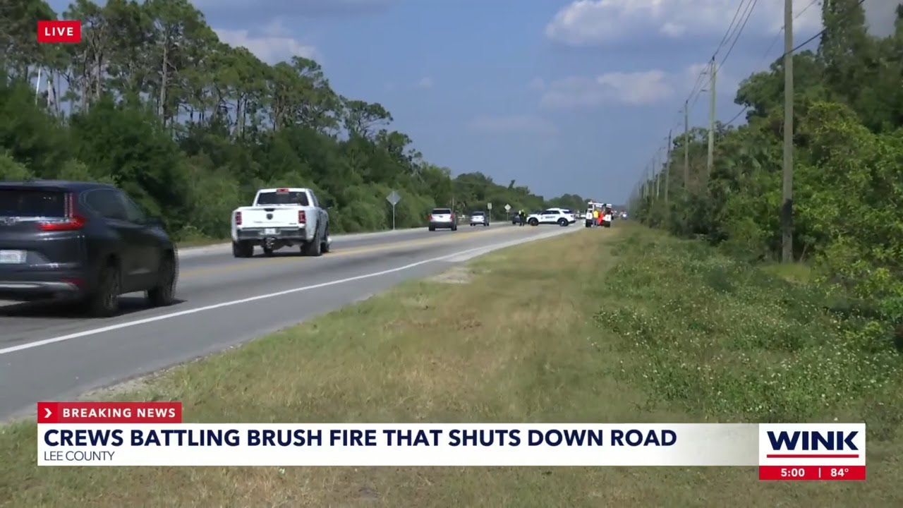 Brush fire shuts down one lane of Alico Road - YouTube