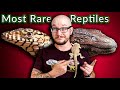 Top 5 RAREST & MOST EXPENSIVE Reptiles In The World