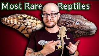 rare reptiles for sale