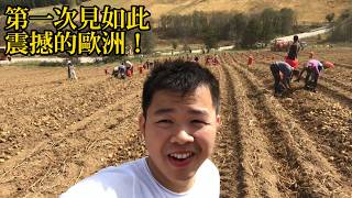 凌晨4點登烏瓦茨大峽谷，不愧巴爾幹半島最震撼自然奇觀，從塞爾維亞去黑山，遇見歐洲有趣的一幕【巴爾幹三國】EP3