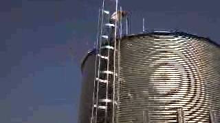 Climbing the grain bin