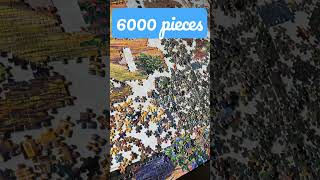 Didn’t finish my puzzle (6000 pieces) yet !
