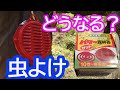 農作業の虫除け対策に効くのか？最強蚊取り線香「パワー森林香」使ってみた。