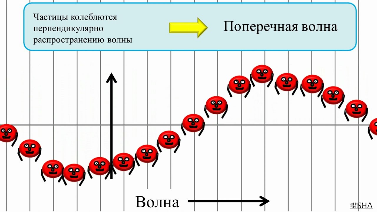 🌊 Продольные и поперечные волны ⚛ Физика - YouTube