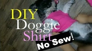 [No-Sew] Easy DIY Doggie Shirt with ShihTzu Lexus