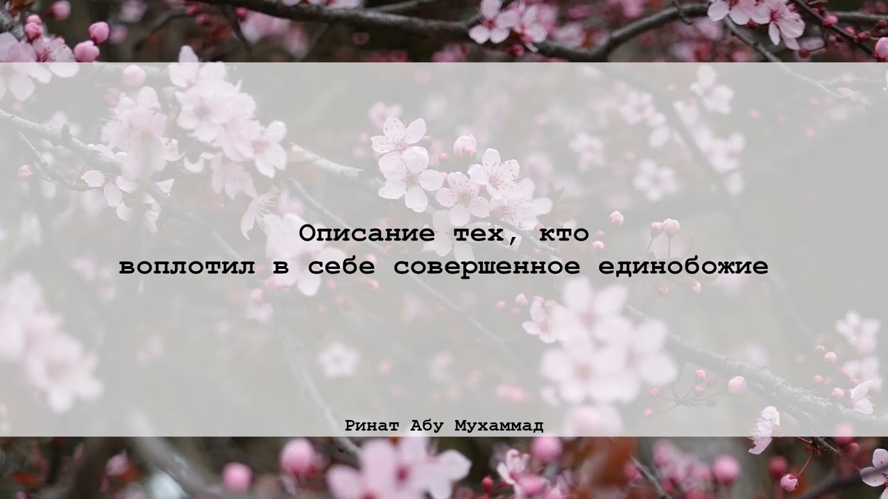 Описание тех, кто воплотил в себе совершенное Единобожие | Ринат абу Мухаммад
