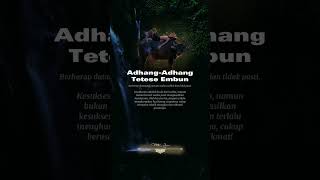 pitutur jawa || story wa