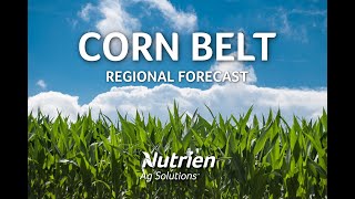 Corn Belt Regional Ag Forecast - December 31 2019