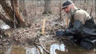 Beaver Trapping with Tom Florin