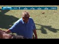 Stolen Treasure wins race 7 at Del Mar 7/23/26