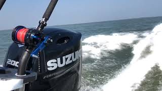 Rilascio Di Un Tonno Per Il Canociafishingteam Un Bel Pesce Oltre I 70Kg