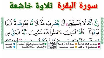 الثمن3 من الحزب1 البقرة (من الآية 25 إلى 32) برواية ورش عن نافع @Tajrrouh