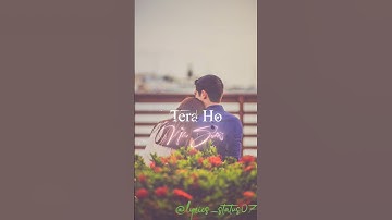 Tera Ho Nhi Sakta Song 🥰 lyrics video 🔥 Hindi song lyrics video #lyrics #lyricvideo #shortsfeed #yt