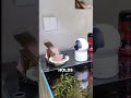 Genius DIY Smart Camera Feeder Keeps Fish Fed While You’re Away!