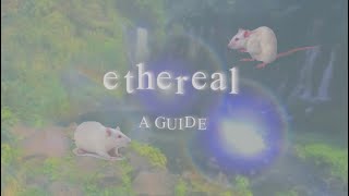 ⚗️ ethereal - aesthetics academy ① screenshot 2
