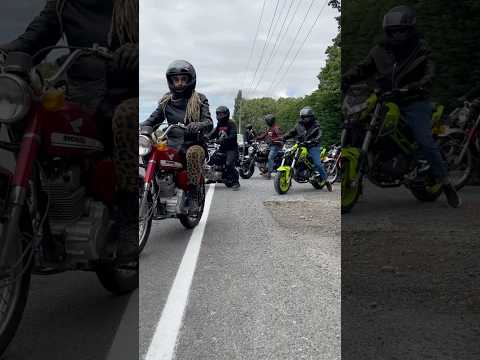 Hundreds Of Mopeds, Minibikes and Scooters Take to the streets! #bikers #minibike #custom #moped