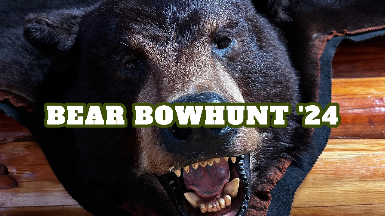 Bow Hunting Black Bear in Quebec '24